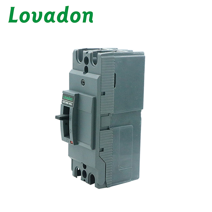EC100N 1P Professional Factory-Made 100A 2P Moulded Case Circuit Breaker for Electrical Circuit Protection