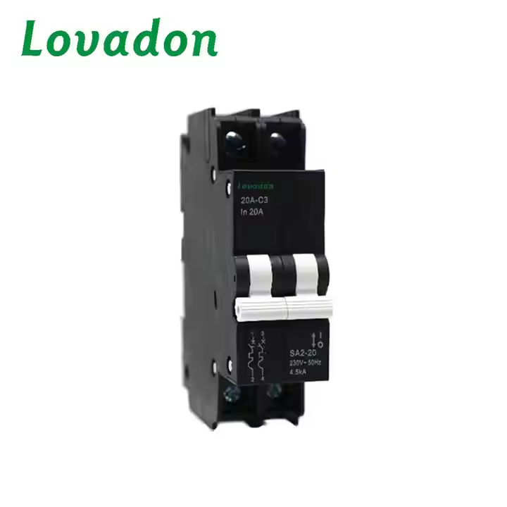 SA2-20 2P Good Quality Sa Series 2p Mcb 4500a Breaking Capacity 50a Miniature Circuit Breaker