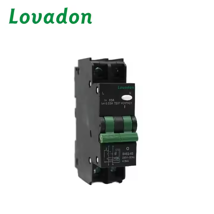 SAE2-63 2P SA Series Miniature Circuit Breaker 2P RCBO Black AC230V 4.5KA Breaking Capacity 63A with LI Protection