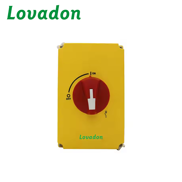 D11-63 Changeover Switch 63A D11 Closed Type Customized Manual Multipolar Load Switch