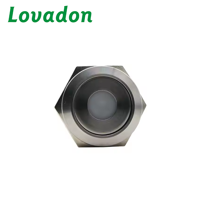 LS22F-10E Professional Wholesale Ip65 Waterproof 22mm Metal Pushbutton Switch With Led Light