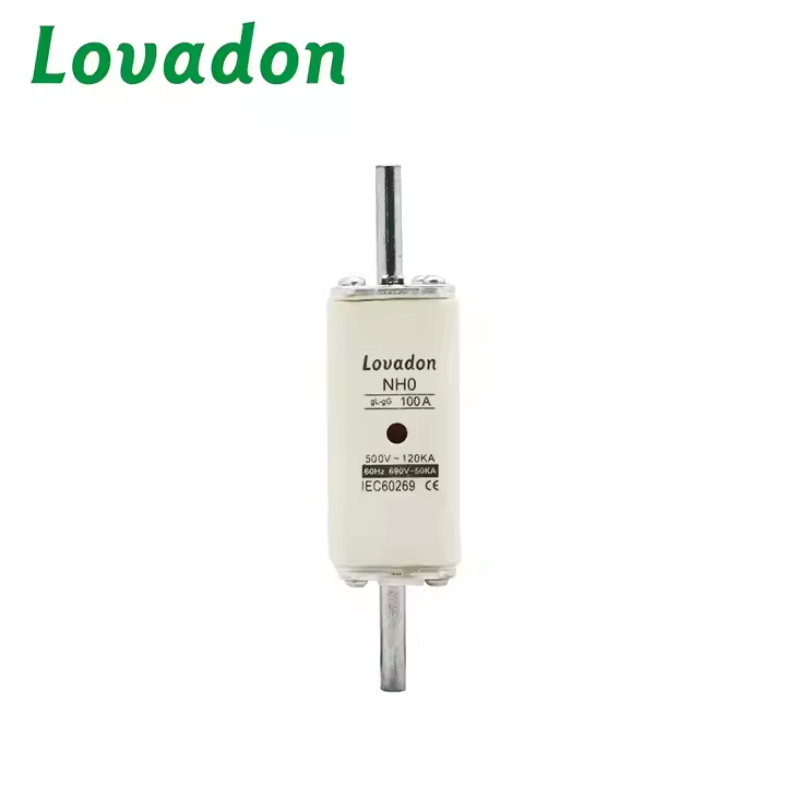 NH0-100A High Low Breaking 500VAC/DC 100A Ceramic Fuse Cylinder Fast Acting NH Type Circuit Breakers Fuses Low Voltage Applications