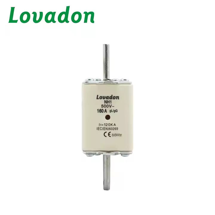 NH1-160A NH Series 160A Ceramic Thermal Fuse Cutout High Breaking Capacity Low Voltage HRC Cartridge Knife Edge Porcelain Material
