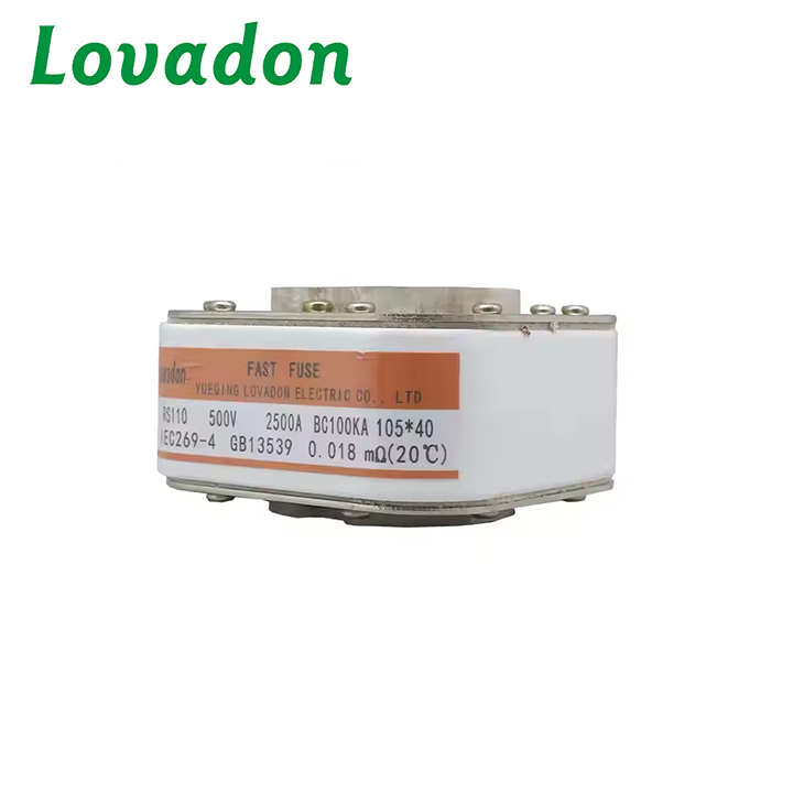 RS110 New in Stock Original Square Body with Flush End Contacts High Speed Fuse Ceramics Ac High Voltage Fuse