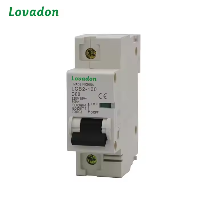 LCB2-100 1P 1 Pole 100A 10ka RCBO/RCB Type Miniature Circuit Breaker for Compact Electrical Systems