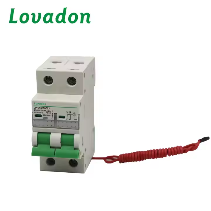 LPH2-63S 2P Factory Direct Price Lph2-63s C63n Overloading Type Meter Use Circuit Breaker Mcb