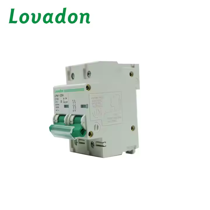 LPM1-125H 2P 100 Amp 2P Miniature Circuit Breaker - High Quality Momentary Protection