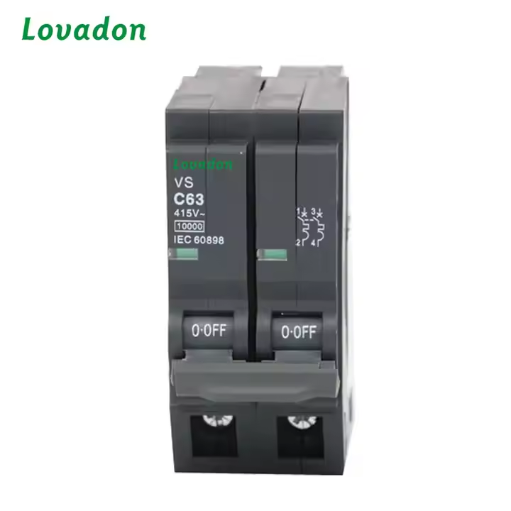 LQOv 2P Black Two-Pole Miniature Circuit Breaker 63 Amps Plug-In Type with for  Li Protection by MCB