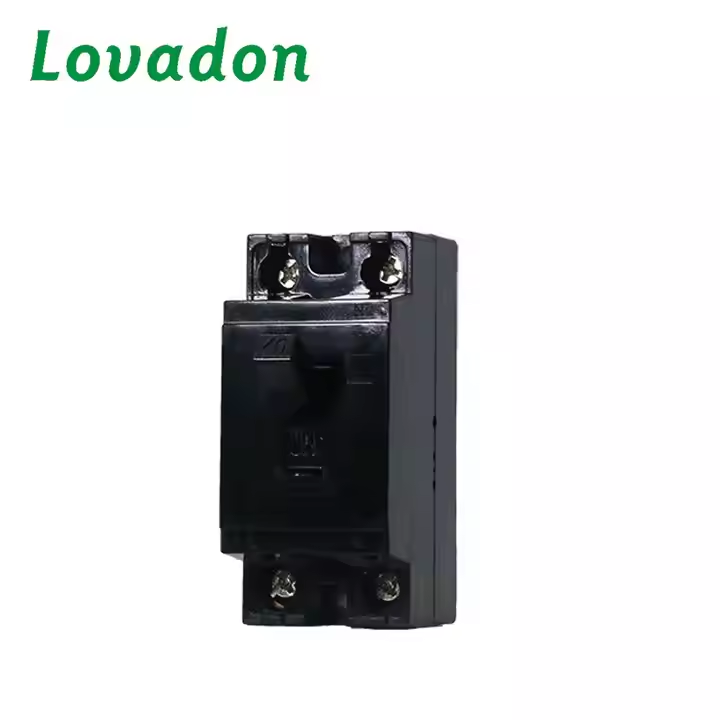 NT50 2P Factory Wholesale 230V Silver Copper Material 50/60 Hz NT50 Micro Circuit Breaker
