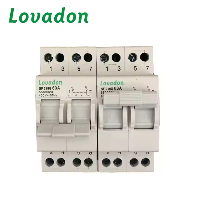 SF219G In Stock SF219G 63A 2P Din Rail Mounted Dual Power Conversion Isolation Switch MTS Manual Transfer Switch