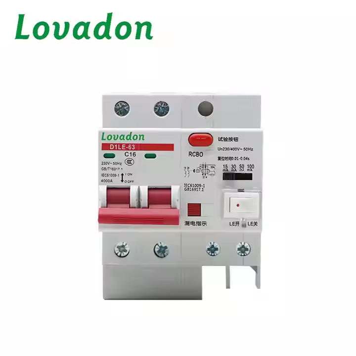 D1LE-63 2P Electronic Adjustable Leakage Circuit Breaker Residual Current Overcurrent Protection Operated Pole Circuit Breaker