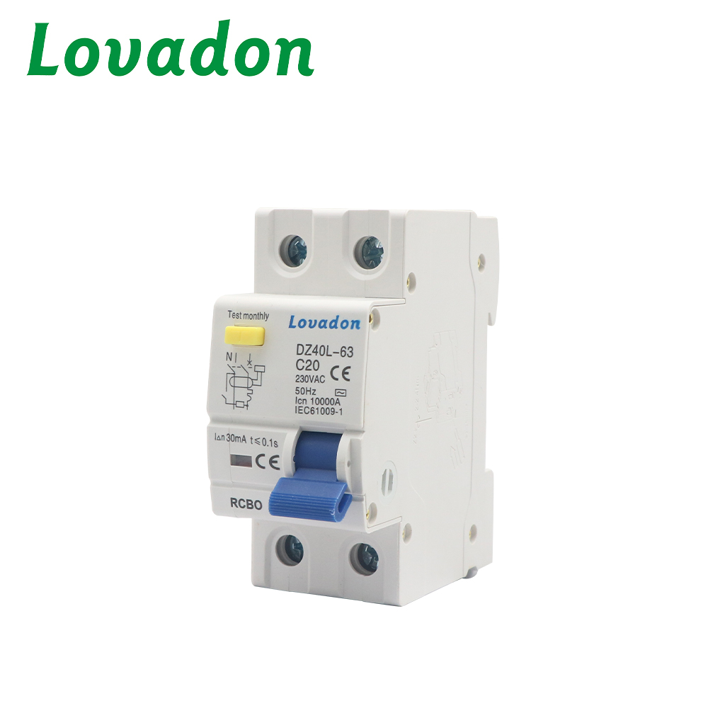 DZ40L-63 2P 63A Electronic Residual Current Device (RCBO) Circuit Breaker with Over Current Protection Type MCB Residual Current Limiter